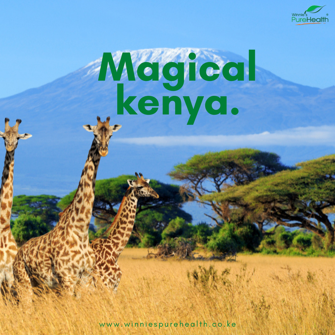 magical-kenya