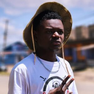 33d65d01-da86-4f91-b6ed-023e65b2c0e8